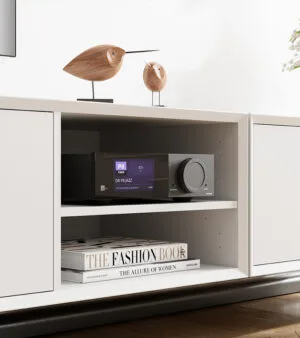 Lyngdorf TDAI-2210