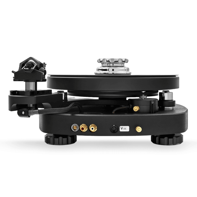 Rear panel with RCA line outputs and power inputs