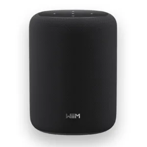 WiiM Sound Lite Speaker
